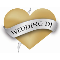 Wedding Dj Birmingham 1100025 Image 7